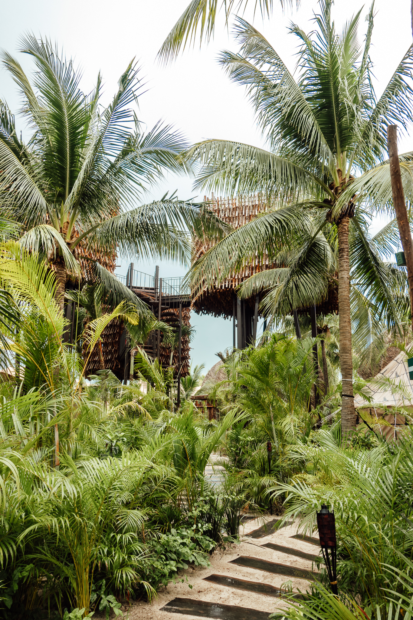 Treehouse Suites at Nomade Holbox