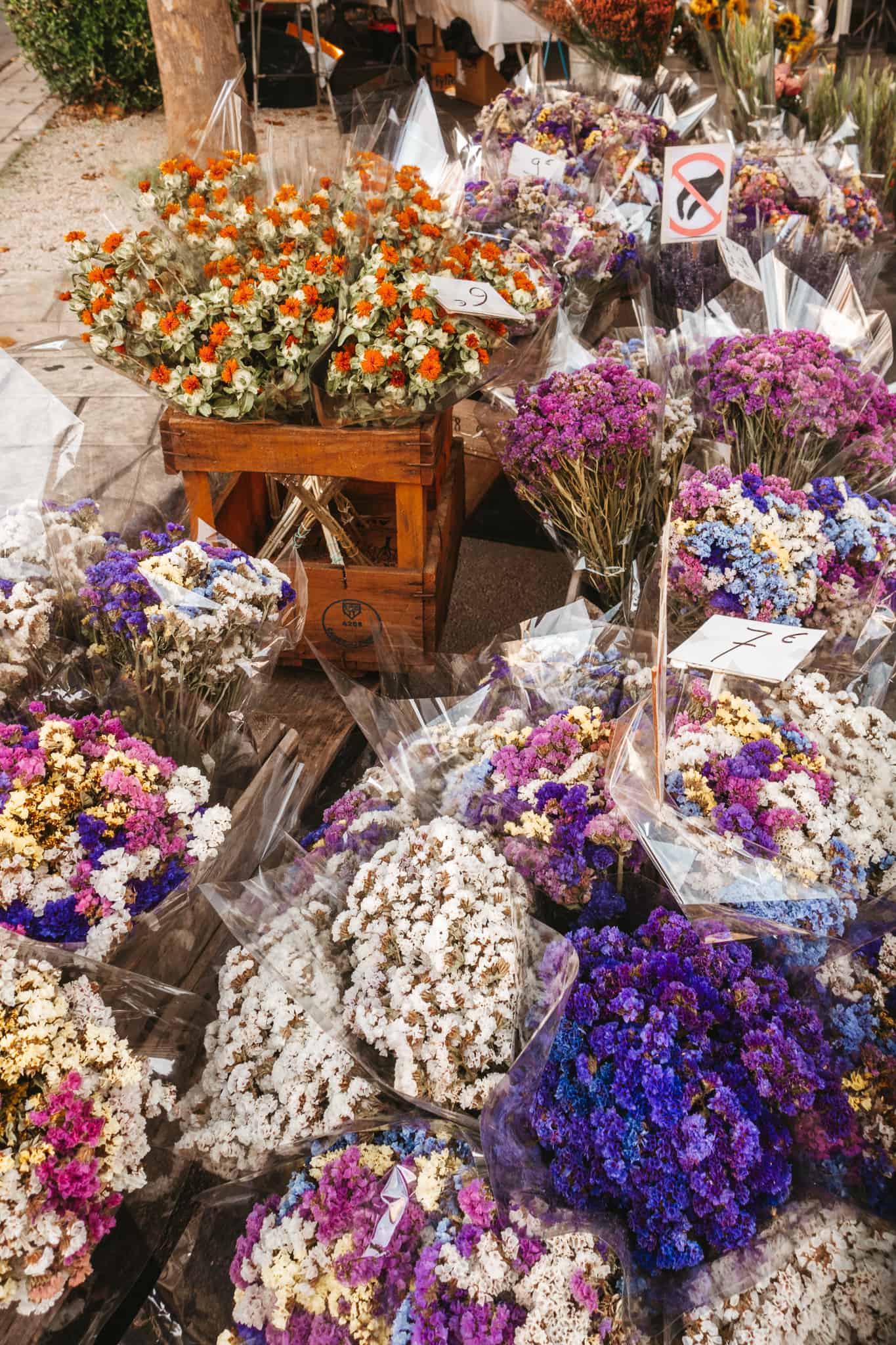 Flowers at the market in St Remy de Provence
