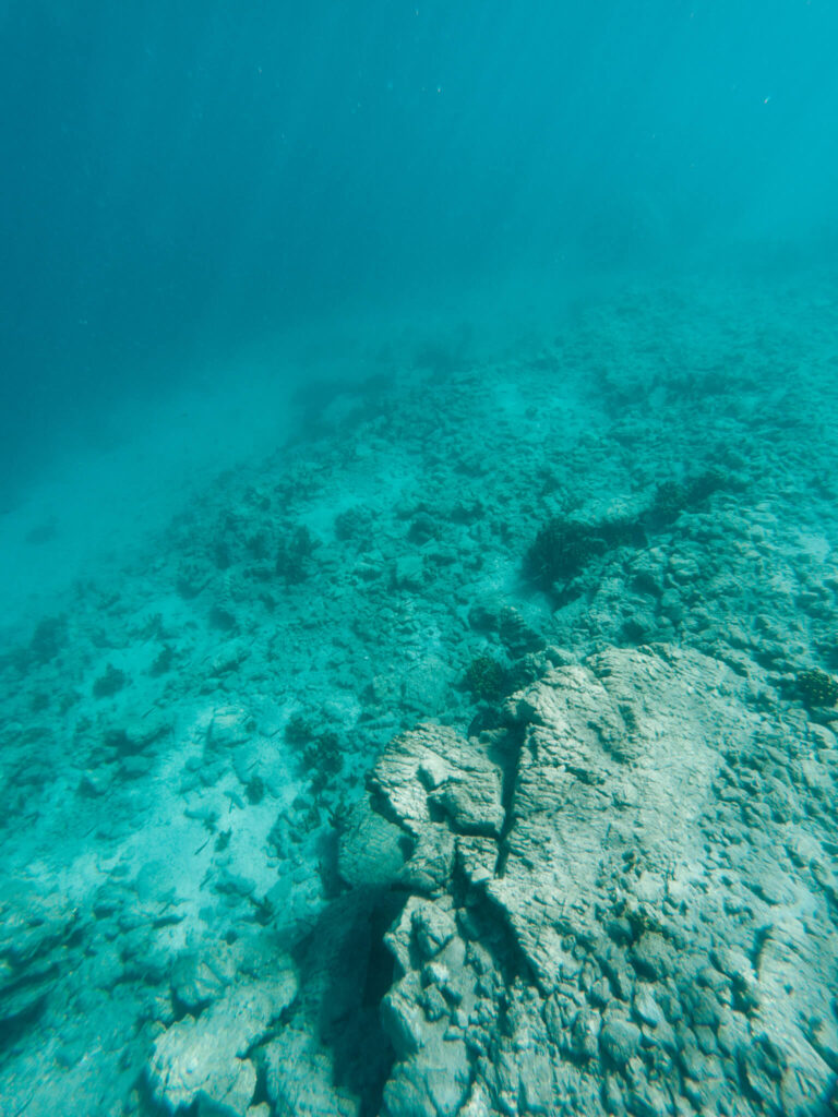 Underwater view of the Aegean Sea on the Turkish Riviera