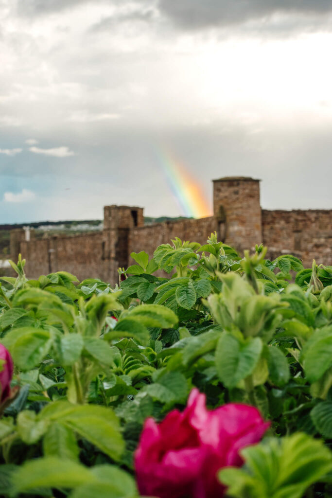 Rainbow over St Andrews Castle ruins