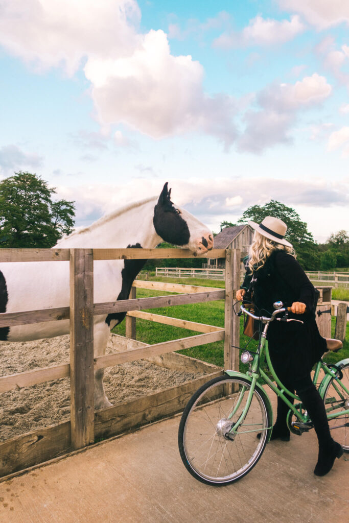 Bicycle ride through Soho Farmhouse