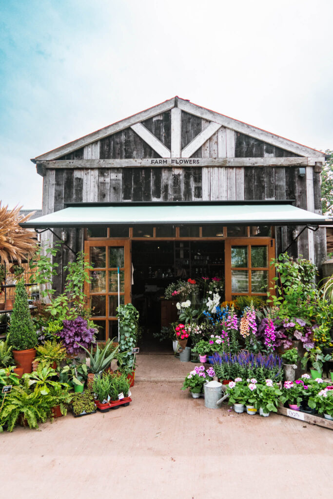 Farm flowers shop