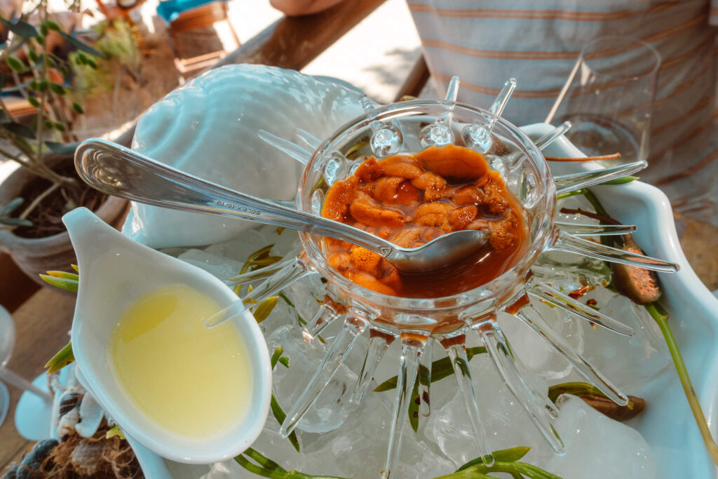 Sea urchin at Nobelos Bio Restaurant in Zakynthos, Greece