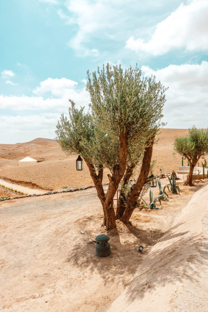 Agafay Desert