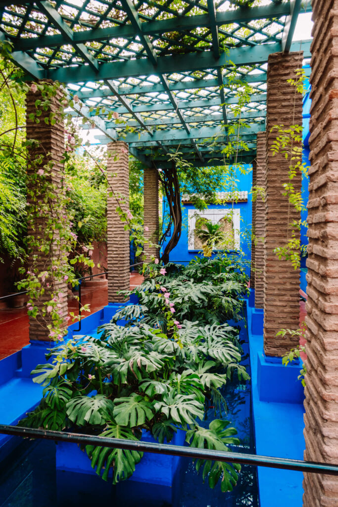 Jardin Majorelle botanical garden