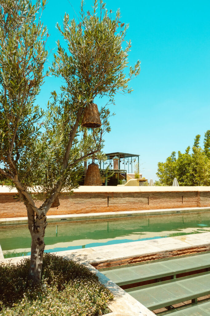 El Fenn Riad Rooftop pool