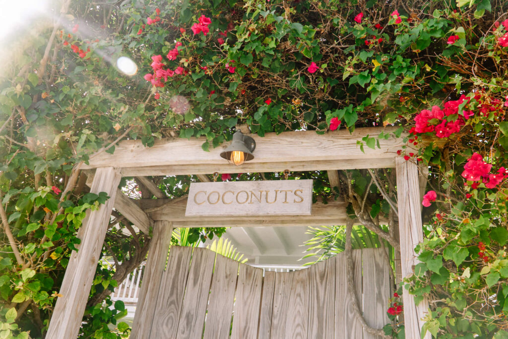 Coconuts sign on Harbour Island