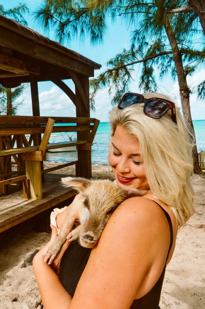 Pig beach on Spanish Wells island